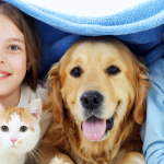 Guía sobre Seguros Veterinarios y Responsabilidad Civil para tu Animal